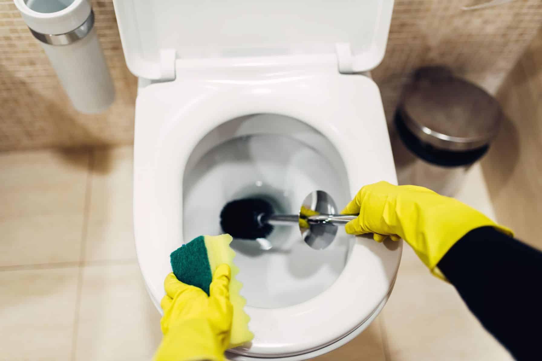 Remove and Prevent Rust Stains in Your Toilet — High Priority Plumbing